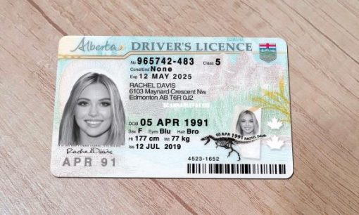 Fake Alberta Canada Driver License