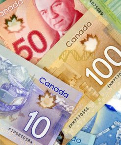 Canadian 20 dollar bill