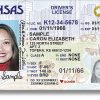Buy Fake Driver's License for sale online