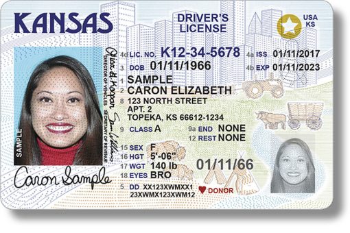 Buy Fake Driver's License for sale online