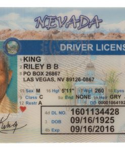 Nevada Fake Driver License