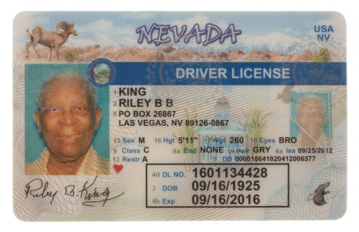 Nevada Fake Driver License